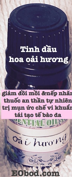 Tinh dầu oải hương